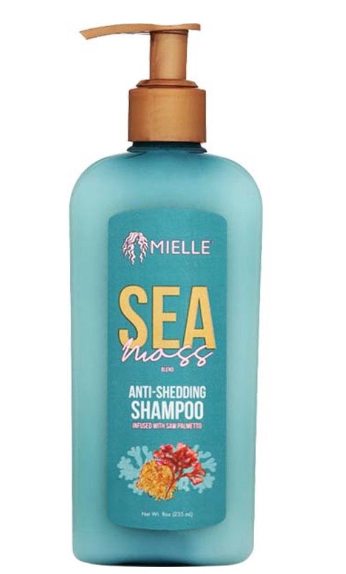 Mielle Organics Sea Moss Anti-Shedding Shampoo 8oz